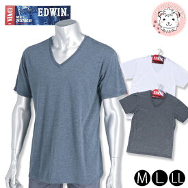 tシャツ 半袖 メンズ Vネック Tシャツ エドウィン EDWIN VネックTシャツ M/L/LL