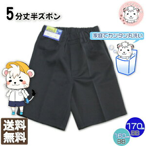 j̎q w Y{ 3023 jq  wY{ BB  160cmBB/170cmBB