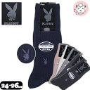 靴下 ビジネスソックス 2足セット プレイボーイ PLAYBOY クルー丈ソックス メンズ くつした くつ下 24-26cm ワンポイント刺繍 リブ 抗菌防臭加工