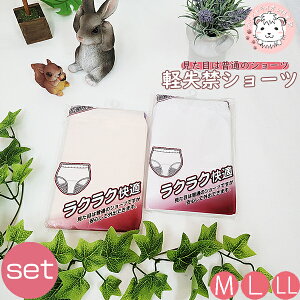 փV[c 2Zbg փpc fB[X wlp ARpc NNK y V[c zV[c ivLsv h M/L/LL tFPA tFebN