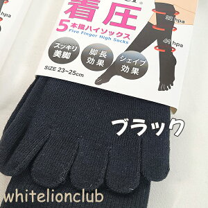 uL trA  Vv 5{w nC\bNX 37cm fB[X L ܖ{w ȍ n 23-25cm C   \bNX ƕt  