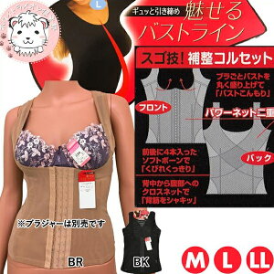y[֑zoXgAbvCi[ 3Zbg 1-6850 p[lbg ␮Ci[ {fBVFCp[ M L LL wl  fB[X   Ci[ ␮ oXgAbv  