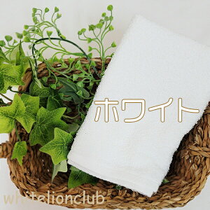 ̂Ȃ̗p^I p^I tFCX^I  100% { 34×85cm |  K Cp ^I {fB^I  oX C g