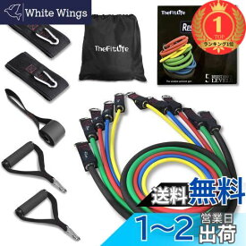【楽天ランキング1位獲得】TheFitLife トレーニングチューブ チューブ トレーニング 筋トレチューブ (中黄/天色/紅色/中緑/墨色)
