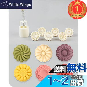 yzyyVLO1ʊlz[BEAUTY PLAYER]݌^ [P[L^ ݃[h ݋^vX 蓮͌ NbL[^ x[LO^^ َq aَq H ABS {+