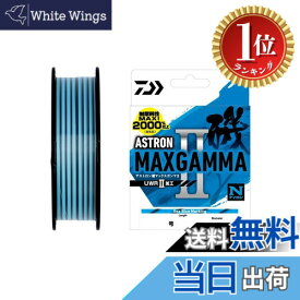 【楽天ランキング1位獲得】【送料無料】ダイワ(DAIWA) 道糸 アストロン磯MAXガンマ2 1.35号~5号 150m/200m 各種 色：SBM(シーブルーマーキング)、サイズ：4号