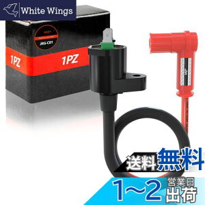 yz1PZ JRG-C01 12V COjbVRC 46cm ėp ϋv z_ L[ S X[p[Ju }Oi50 JAZZ gJu NS-1 FTR223 WCUP ^ WCLms[  oCN 