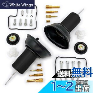 yzMeliore ЊO XeB[h 400 NC26 VRX _Ct VLX400 Lu^[ Lu p[c _CAt steed  WFbg l܂ C C 2Zbg