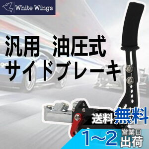 yzVEHSUN TChu[L ėp nhu[L Ԑp   p[LOu[L htgEXs[^[EWJ[i[ TCh A~ ubN