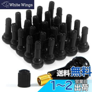 yzJiiinMiiin TR413 GAou 100 Sou ouRAt Lbvt `[uX TR-413 ^CpXibvCou