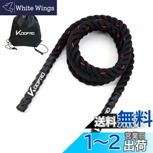 yzW[v ȂƂ g[jOp AX[giƎdl ꒵ l d 2.8m 3m ؃g _CGbg GNTTCY wr[[v  O lC jp [|[`t 