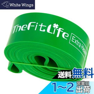 yzTheFitLife g[jO`[u ؃g`[u `[u ()