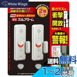 yzGp(ELPA) () obe[ ^EChEA[( 2 / p[zCg )  h /ASA-W13-2P(PW)