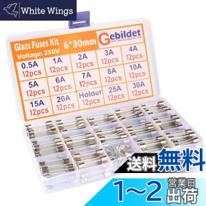 yzKiligen 168 6 * 30mm KX q[Y (0.5A/1A/2A/3A/4A/5A/6A/7A/8A/10A/15A/20A/25A/30A ̃q[Ye12Â)+12̃q[Yz_[