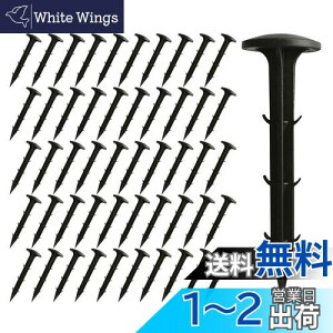 yzXSAJU hV[g Œs 50{ ppY |pV[g hlbgŒ yO B K[fjO ubN