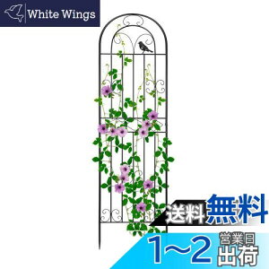 【送料無料】Rxakudedo アイアンフェンス 園芸 フェンス ガーデンフェンス ハイタイプ 高さ180cm ローズフェンス 蔓性植物用支柱 フェンス