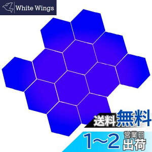 yzBIRLD EH[ ~[ XebJ[  \t  WALL MIRROR STICKER Ȃ Zp`  12 [ u[ ] LTCY