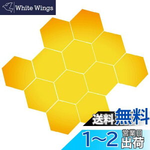 yzBIRLD EH[ ~[ XebJ[  \t  WALL MIRROR STICKER Ȃ Zp`  12 [ S[h ] MTCY