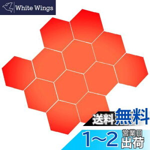 yzBIRLD EH[ ~[ XebJ[  \t  WALL MIRROR STICKER Ȃ Zp`  12 [ bh ] MTCY