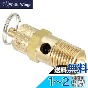 yzPATIKIL 1/4IXNPT S 1 ͊J GA[Xou GARvbT[p 125 PSI ݒ舳