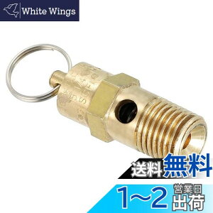 yzPATIKIL 1/4IXNPT S 1 ͊J GA[Xou GARvbT[p 135 PSI ݒ舳