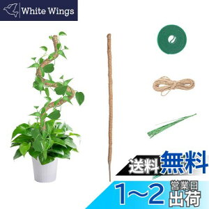 【送料無料】Mcbazel 観葉植物支柱 120CM 園芸用支柱 曲げ可能 観葉植物・モンステラ・ココナッツ・つる植物支柱 ガーデニング用具 7MM幅 コイアポール成長用 維持水分・養分維持・農業・ 園芸