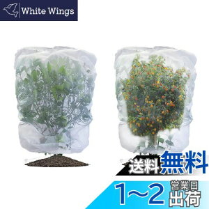 yzLIANHATA hlbg 2Zbg AیJo[ bVВ hlbg 悯Jo[ ؖ ΍ ʋC  Ap ؍͔| ؉v^[p (80*100cm)