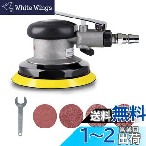 【送料無料】Chisafly ポリッシャー エアサンダー ダブルアクション サンディングペーパー付き ペーパー寸法125mm 洗車 研磨 車用 車磨き 小型 軽量 エアーポリッシャー 空気圧 研磨機 キズ消し