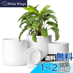 yzT4U Aؔ vX`bN v^[ 4_Zbg 󂯎Mt 10/12.5/15/17.5cm R̔r ~` 㕗 t[|bg O ϗtA n[u ԍ͔|Kp 