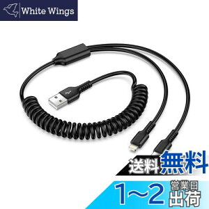 2in1 [dP[u RC CgjO^CvC iPhone[dP[u J[R[h MFIF 5V2A }[d Haoano lightning RCP[u USB-C [dP[u ACtH[ ԗp LkR[h iPhone 15