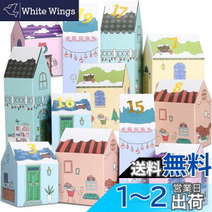 yzKesote AhxgJ_[ 2024 ̂ NX}X {bNX 24Zbg ŋl߂I JEg_E Mtg{bNX AhxgJ_[  NX}XJ