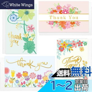 yzKesote ӃJ[h bZ[WJ[h 60Zbg 肪Ƃ J[h Thank you TL[ J[h  ސE J[h  Ӎ ӂ̓ e[vt