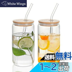QuiExact ガラスコップ 500ml 2個セット 薄づくり ハイボールグラス 食洗機 電子レンジ対応 耐熱 グラス コップ ストロー付き 蓋付き うすはり タンブラーグラス キャニスターグラス コーヒー ジ