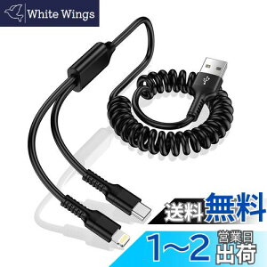 RC 2in1 [dP[u J[R[h iPhone [dP[u &USB-C P[u MFIF iPhonep+Androidp 2䓯[dR[h Lk 2A }[d ԗp CgjOP[u GAEF ACtH }`[d