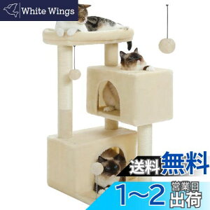 yzPAWZ Road Lbg^[ ~j  RpNg X L^[ ܌ ܂Ƃ|[ LnEX2 u  VjAL VL qL o₷ VRTCU t