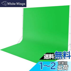 FotoFoto N}L[ O[obN z 300 x 300 cm wiz  Bep zoom̃o[`wi green screen SzȂ obNXN[ ʐ^X^WI SgBe n BepwiV[g O[X