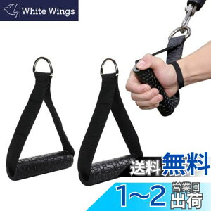 yzDIZLAS P[uA^b`g GNTTCYnh ؃gP[u tBbglX  2{Zbg