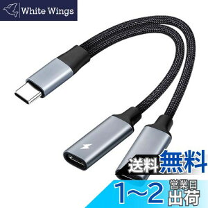 2in1 ^CvC[dCzϊP[u Type-CCzWbNUSB C PD[dA_v^ ʘb/ʒ/yCz  ϋv iC҂ ڑP[uΉ Samsung S21/S20/Google pixel5/4/3/3