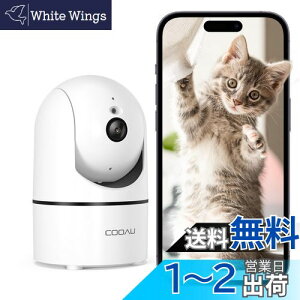 y300fEQRR[hWIFIڑzCOOAU J ybgJ ľm Î@\ 360°PTZ@\ H.265 oʘb WiFi hƃJ AlexaΉ ĎJybgp ڑȒP 24h펞^ 