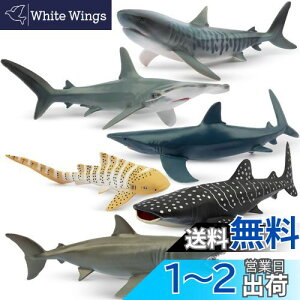 yzTOYMANY tBMA 6PCSTtBMA CmtBMAZbg 12cm`14cm   C̐ Aȓ͌^ TD lC  ߋ av[g N