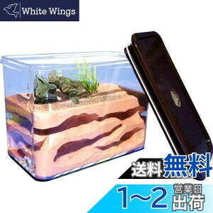 yzUmora Ȃ ALbg ΍p Aώ@Lbg A apP[X A甠  R ώ@L ߋ aȂ