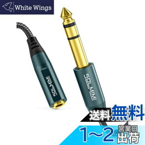 yzSOLMIMI XeIWvO ϊ 300cm 3.5mm~jiXj6.35mmWiIXjI[fBIpwbhzϊvO iC҂ bL I[fBIϊA_v^ ~jvO W