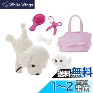 yzZKgCY(SEGA TOYS) RR  ! Ȃ悵Zbg