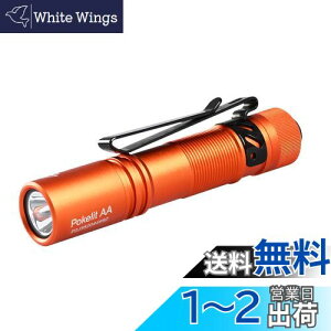 ACEBEAM Pokelit AA d ^ y  550[PO 3iK F Ra90 IP68h ő9̎s 肵ptH[}X イłƂ ledCg tbVCg h 
