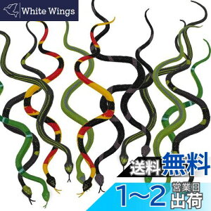 yzHUAZONTOM wr   ߋ A ObY W[NObY hbL Xl[N S ~j 12{ т蔠 U̎ nEB ObY L  K[f  p