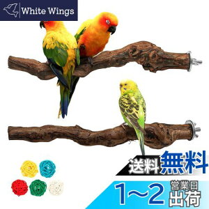 Hreaiaps 2{Zbg CR Ƃ܂ VRuhE̖ ܂Ƃp[` CR ~܂ ܂ X^h } CR   ނ pi xݏꏊ CR IE p[`