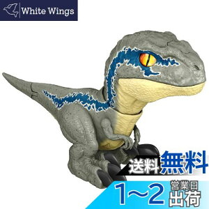 yz}e WVbN[h VȂxz \Ixr[Ex[^ GWY55