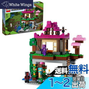 yzS(LEGO) }CNtg P 21183  ubN v[g erQ[   j̎q ̎q 8Έȏ