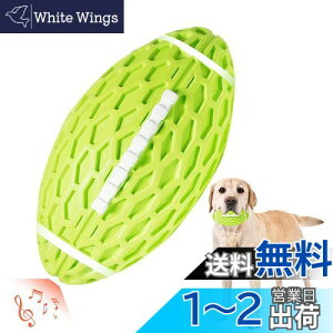 yzAUSCAT  ނ o ^E^ {[ Or[ mߋ  VRS pߋ  L\h XgX (,L)