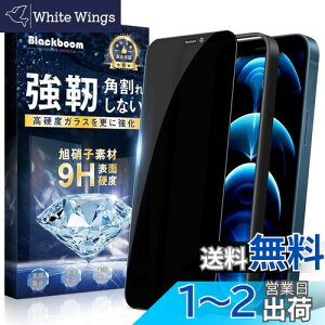 yzy`h~z iPhone 12 Pro Max KXtB `h~ ACz12 Pro Max tیtB ̂h~ dx9H/CA[/Ȃ/\tȒP/wh~/ iPhone 12 